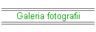 Galeria fotografii