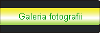 Galeria fotografii